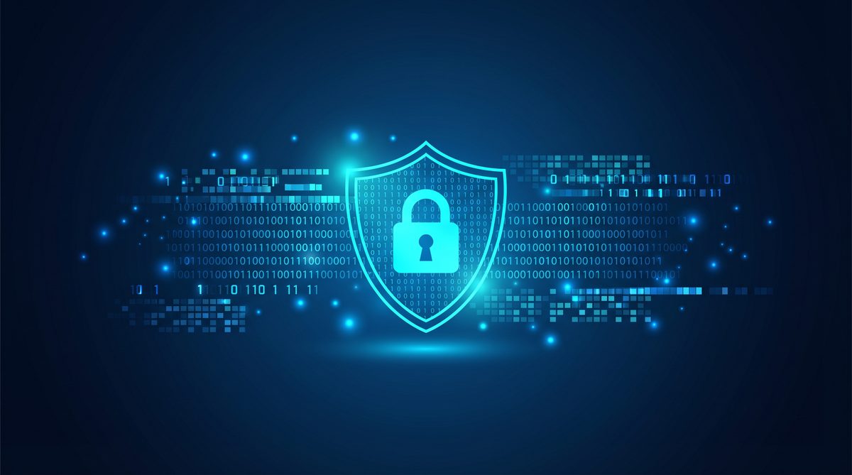 加速器地牛隐私安全保护